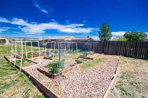 View of yard featuring a vegetable garden