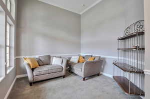 Sitting room with carpet, ornamental molding, and baseboards