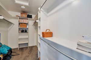 Walk in closet with dark colored carpet and attic access