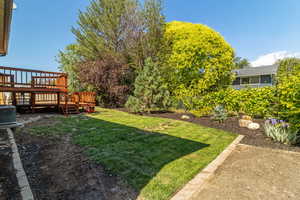 View of grassy yard with a deck and central air condition unit