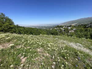 View of mountain background