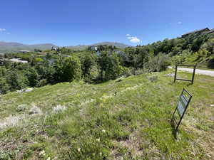 View of mountain background