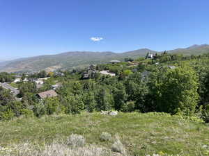 Mountain view