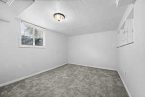 Bonus room with a textured ceiling, carpet, and baseboards