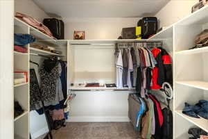 Walk in closet featuring carpet floors
