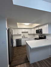 Kitchen with stainless steel appliances, a sink, a peninsula, white cabinets, and a raised ceiling