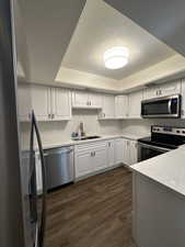 Kitchen with stainless steel appliances, a sink, a tray ceiling, dark wood-style flooring, and white cabinetry
