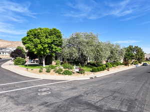 View of asphalt road featuring curbs and sidewalks