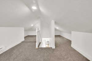 Additional living space with a textured ceiling, carpet floors, and vaulted ceiling