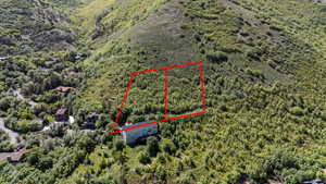 Aerial view of property and surrounding area with property boundaries highlighted and a forest