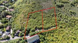 Aerial view of property's location with a forest and property boundaries highlighted