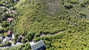 Aerial view of property and surrounding area with a forest