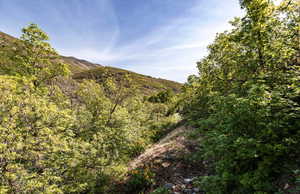 View of mountain backdrop