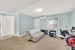 Basement family room.