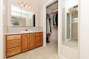 Full bath featuring a walk in closet, vanity, and a shower with shower door