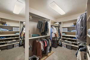 Primary walk in closet featuring carpet floors