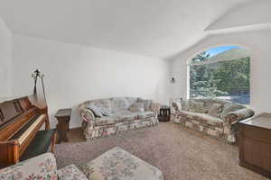 Living area with vaulted ceiling, carpet flooring, and a textured ceiling