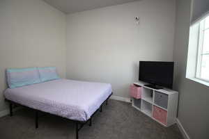 Carpeted bedroom