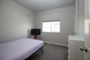 Bedroom with carpet and walk in closet
