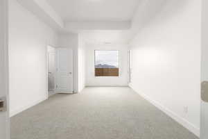 Empty room with light carpet, baseboards, and a tray ceiling
