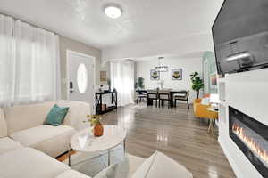 Living room with a textured ceiling, wood finished floors, and a glass covered fireplace