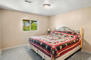 Carpeted bedroom featuring baseboards and a textured ceiling