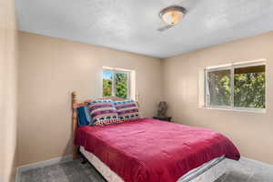 Carpeted bedroom with baseboards and a textured ceiling