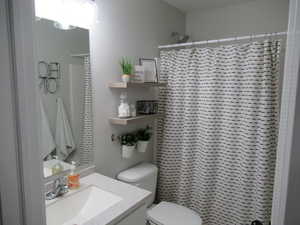 Bathroom with toilet, vanity, and a shower with curtain