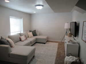 Living room featuring light colored carpet, baseboards, and recessed lighting