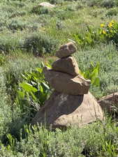 This stack of rocks is several feet inside of the lower property line