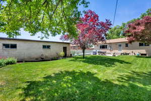 View of yard featuring a patio and entry steps