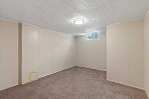 Below grade area featuring carpet floors
