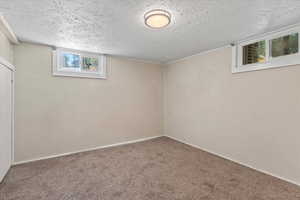 Below grade area with carpet flooring and a textured ceiling
