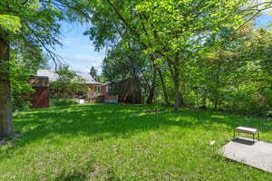View of grassy yard