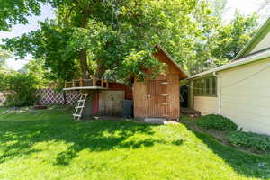 View of grassy yard