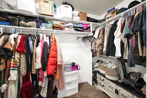 Spacious closet featuring carpet flooring