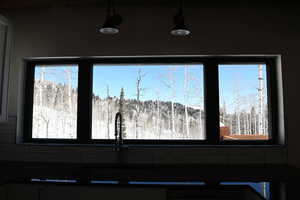 Kitchen view of dark countertops, a sink, and a forest