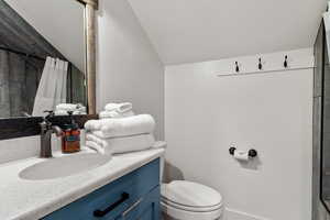 Full bathroom featuring vaulted ceiling, vanity, toilet, and a shower with curtain