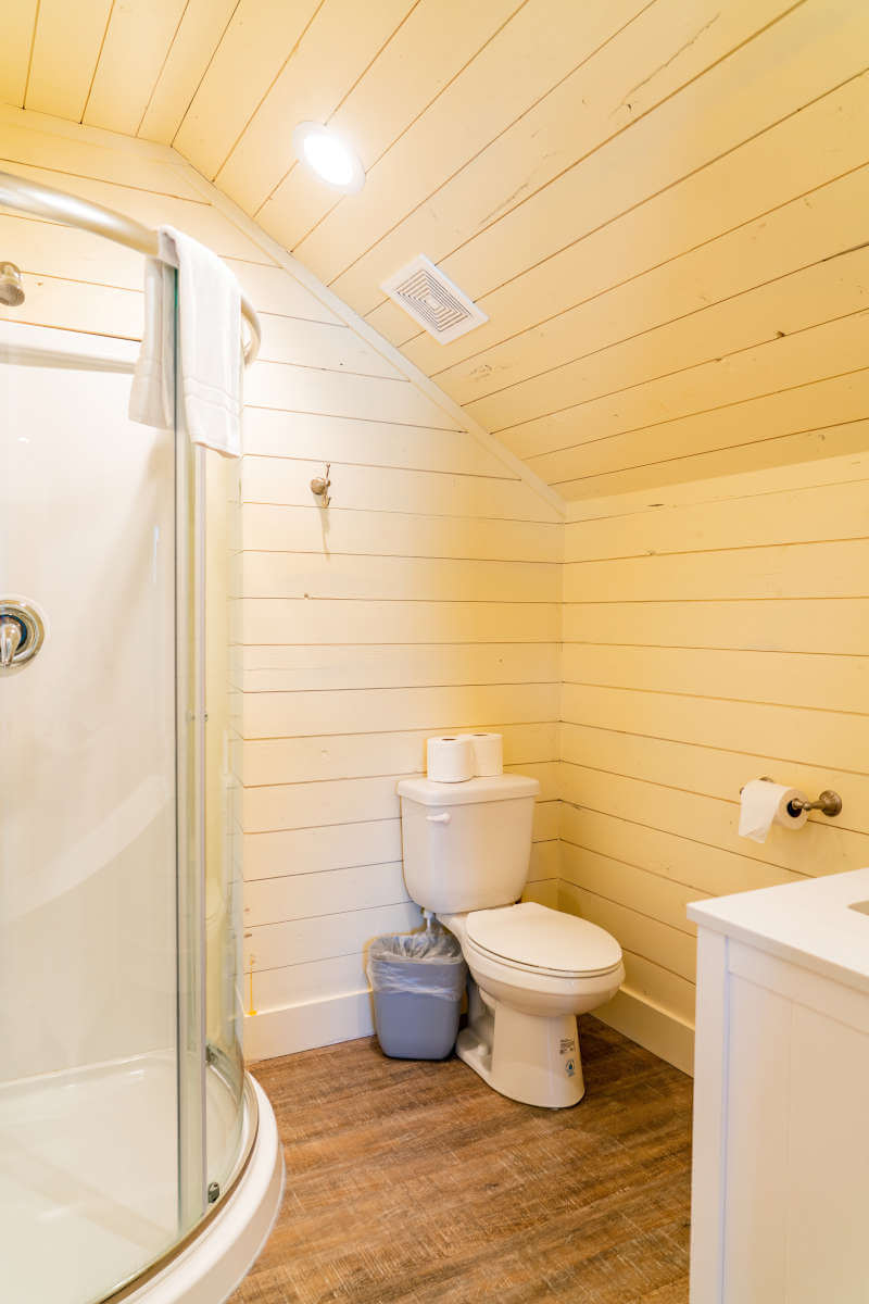 Bathroom featuring vaulted ceiling, a stall shower, wood finished floors, toilet, and vanity