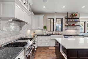 Kitchen with stainless steel appliances, a sink, open shelves, tasteful backsplash, and white cabinetry