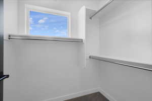 Spacious closet featuring carpet