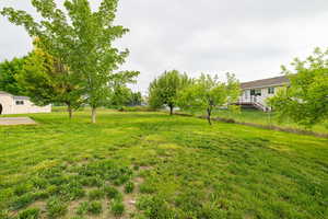 View of green lawn