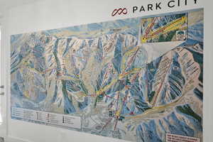 Detailed view