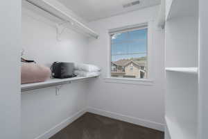 Spacious closet featuring dark colored carpet