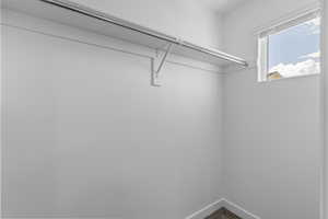 Walk in closet with carpet flooring