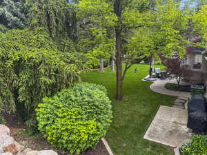 View of green lawn featuring a patio