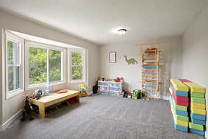 Recreation room featuring carpet floors and baseboards