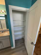 Master Bathroom Linen Closet