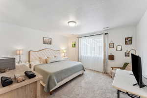 Bedroom featuring carpet floors, a textured ceiling, and baseboards