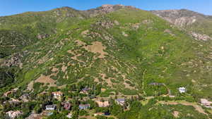 Photo 9 of 5924 S SPRING CANYON RD